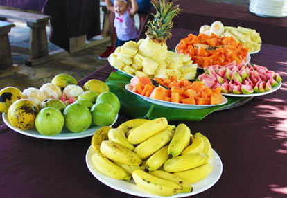 Fruit grown at Finca Vista Hermosa in Guanabacoa Cuba.