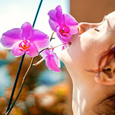 Cuban woman smelling orchid.